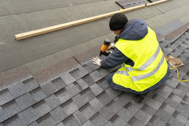 Best Roof Gutter Cleaning  in Elkton, KY