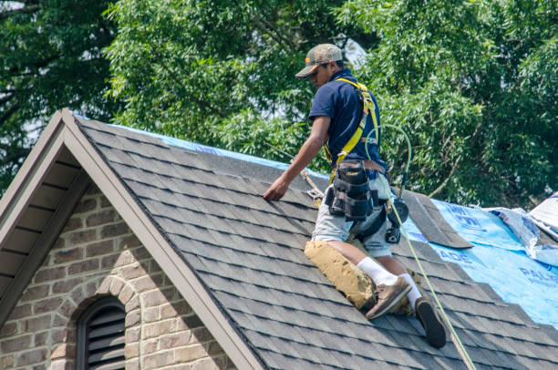 Quick and Trustworthy Emergency Roof Repair Services in Elkton, KY