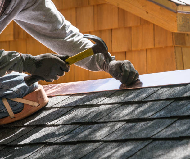 Best Storm Damage Roof Repair  in Elkton, KY